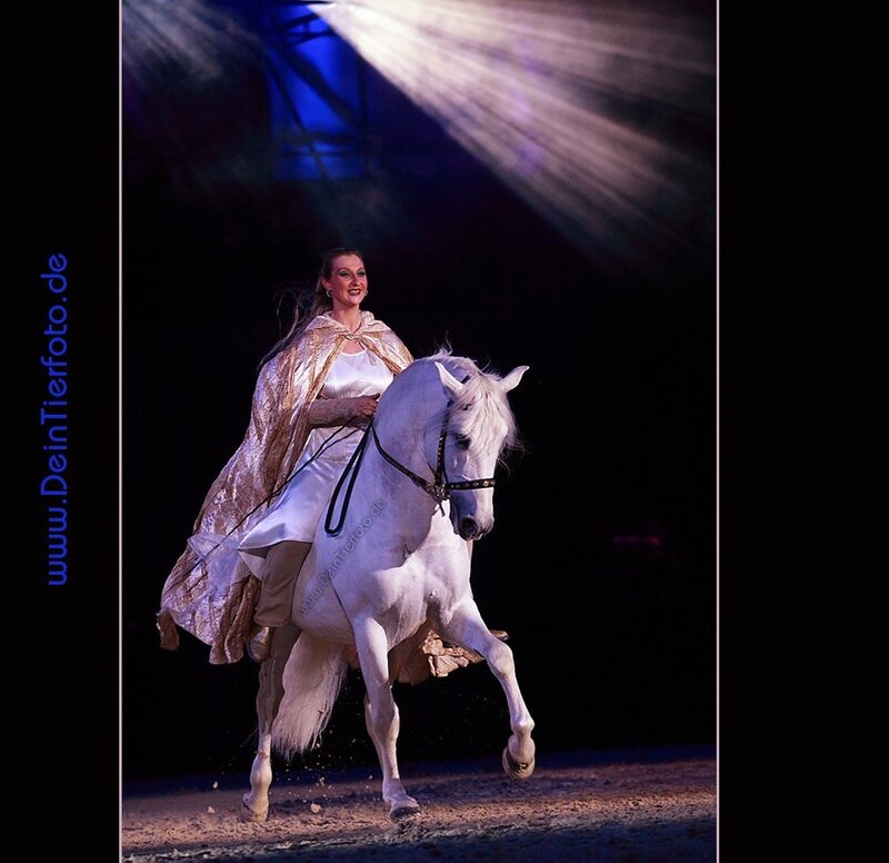 Woman Riding White Horse — Dramatic