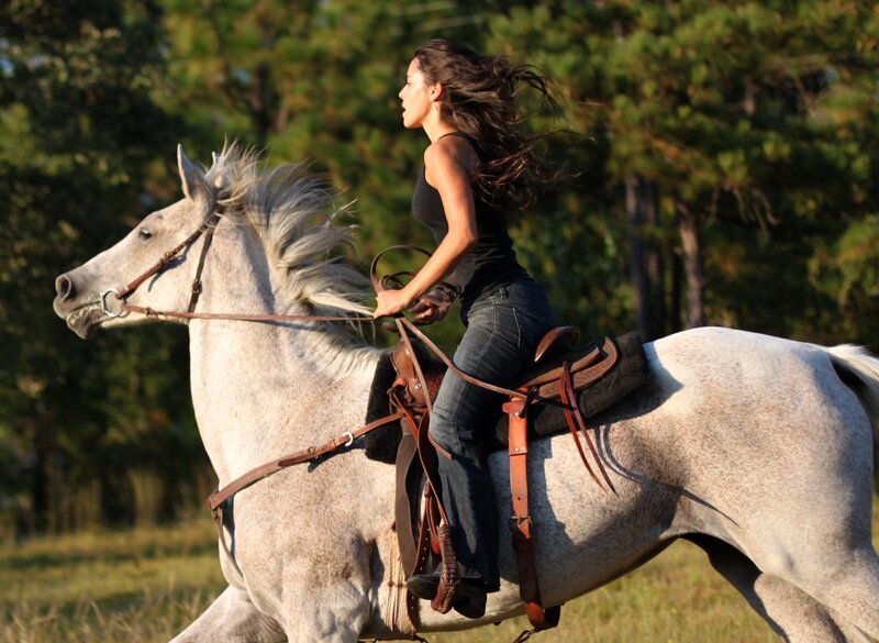 Woman Riding White Horse — Dynamic, Afternoon