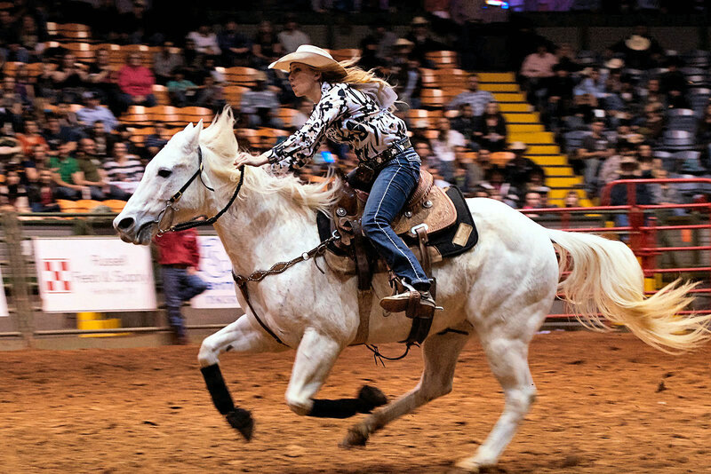 Woman Riding White Horse — Dynamic, Night