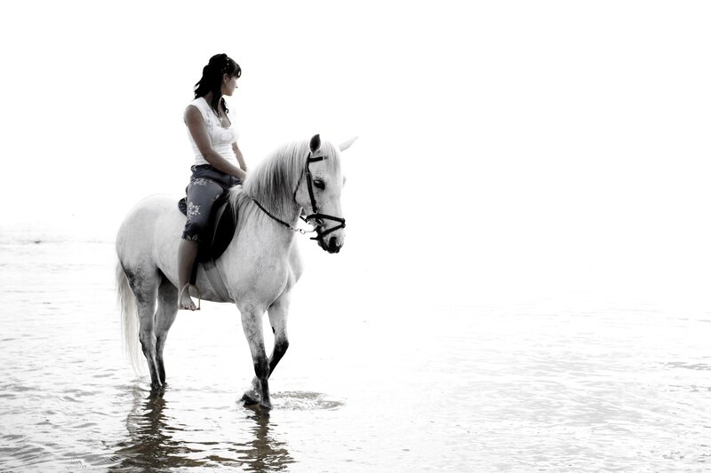 woman riding white horse on beach