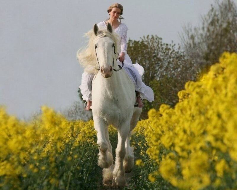 Woman Riding White Horse — Serene, Spring