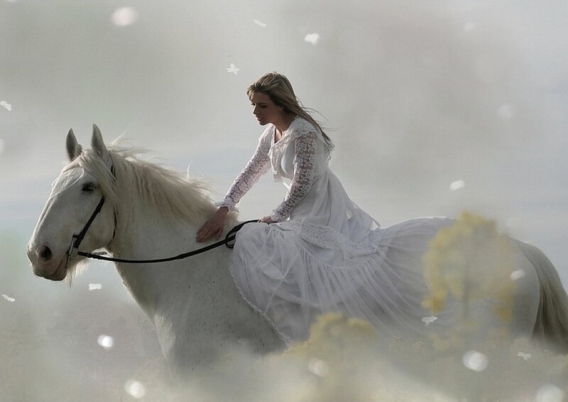 Woman Riding White Horse — Serene