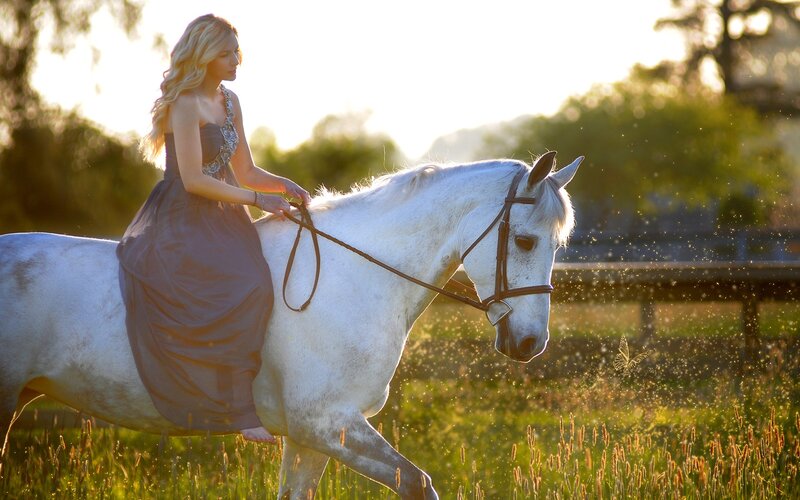 woman riding white horse