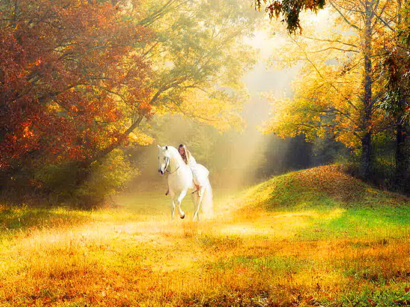 Woman Riding White Horse — Yellow