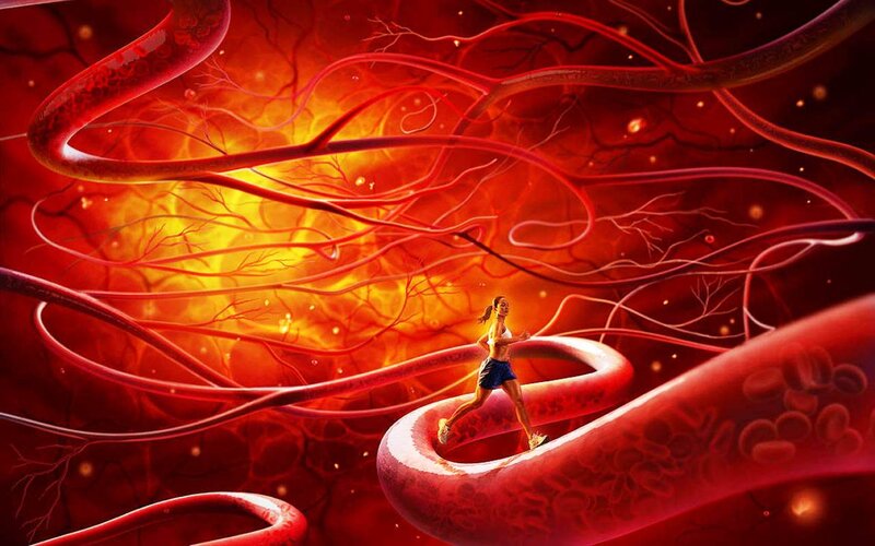 Woman Running in Blood Vessels — Red