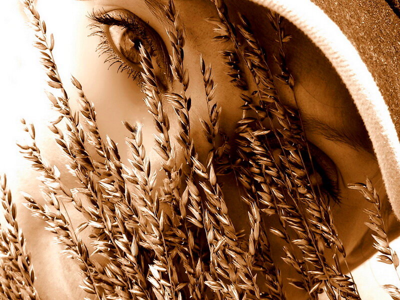Woman's Eye with Wheat