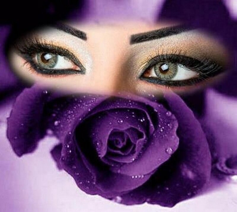 Woman's Eyes and Purple Rose — Dramatic, Photograph