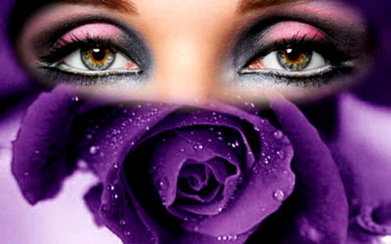 Woman's Eyes and Purple Rose — Dramatic