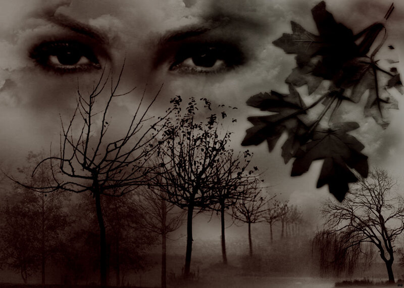 Woman's Eyes and Trees