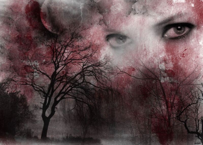 Woman's Eyes in Forest