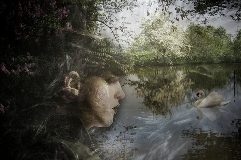 Woman's Face and Swan
