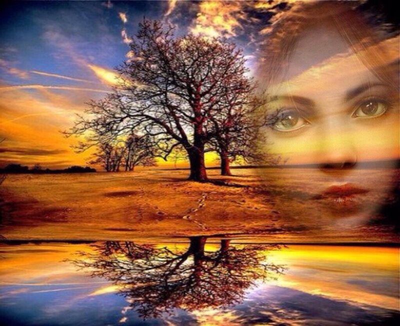 Woman's Face and Tree — Orange