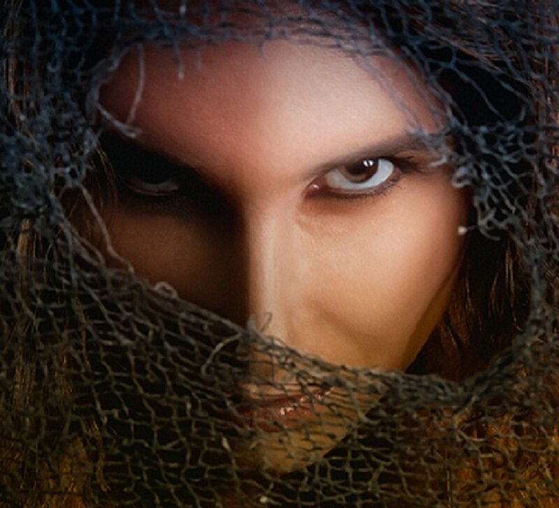 Woman's Face Behind Net