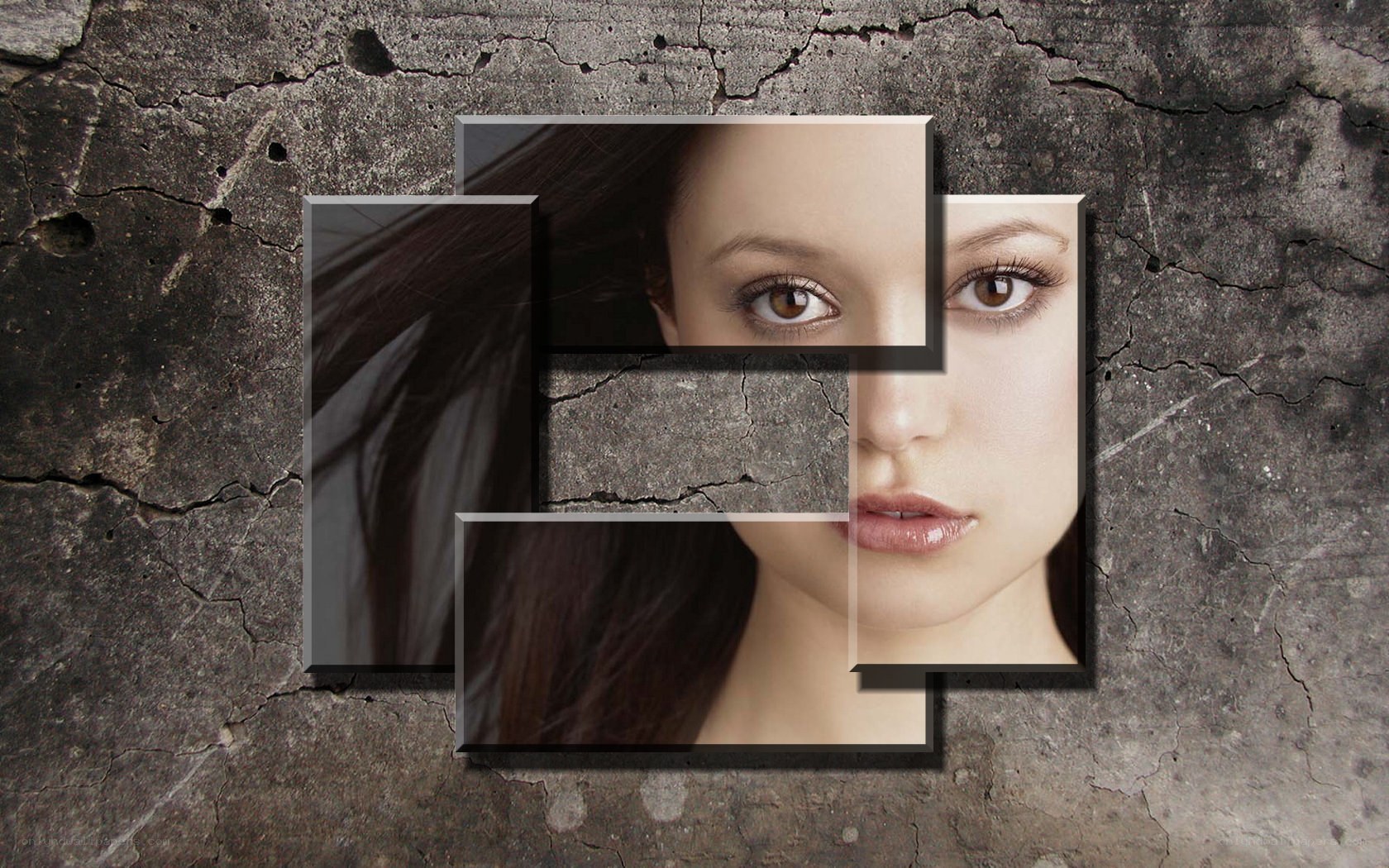 woman's face collage