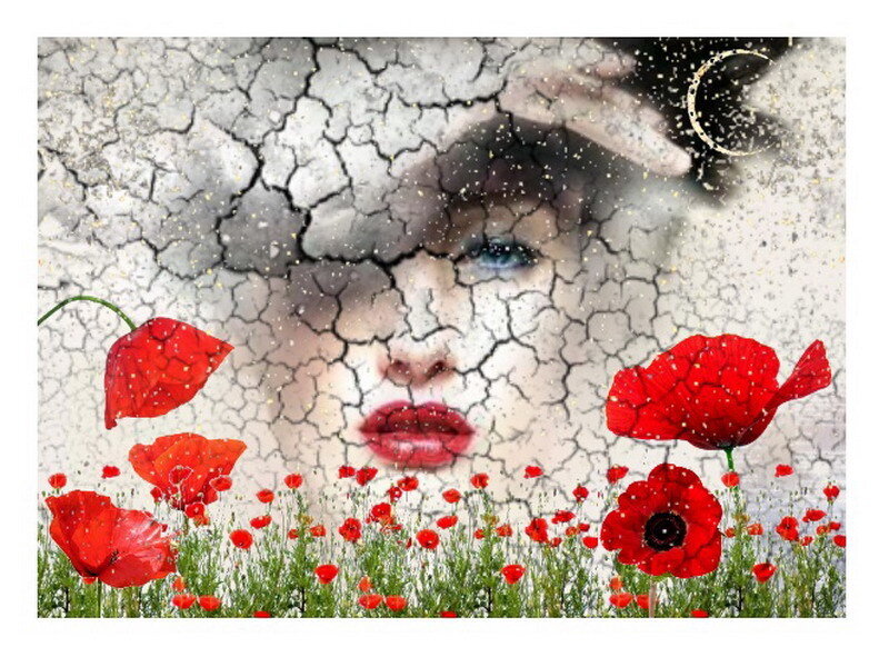 woman's face in cracked earth