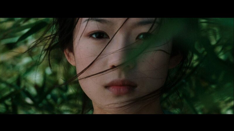 Woman's Face in Foliage