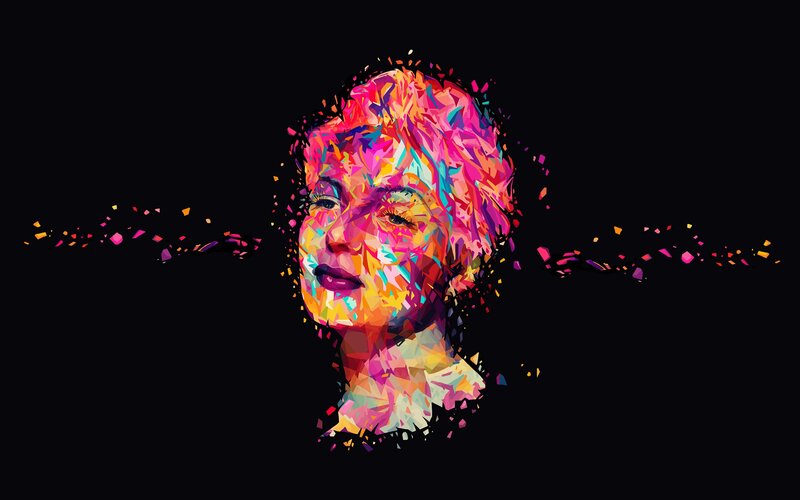 Woman's Face in Fragments