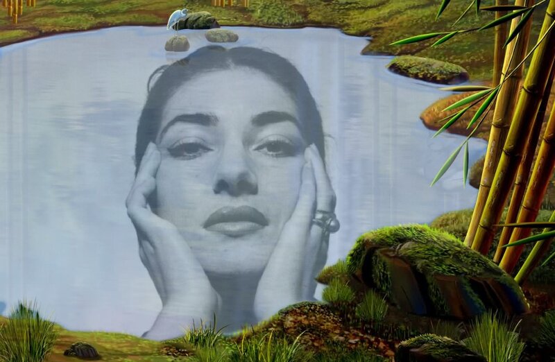 Woman's Face in Pond