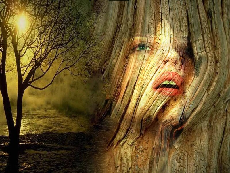 Woman's Face in Tree Bark