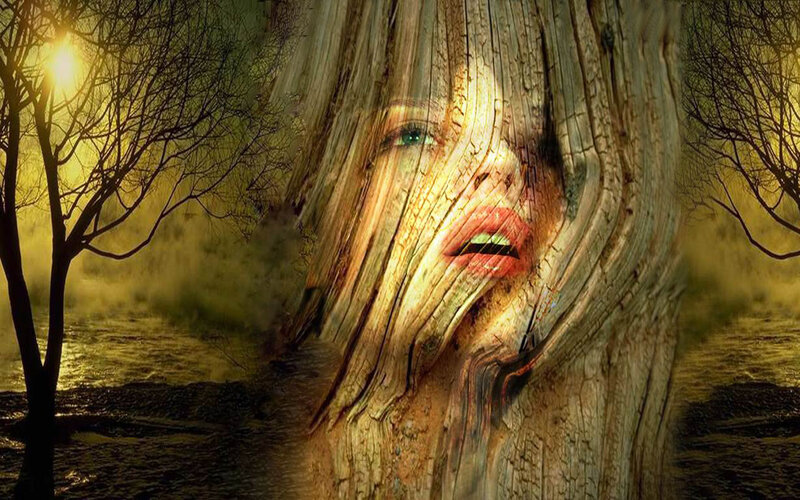 Woman's Face in Tree Trunk