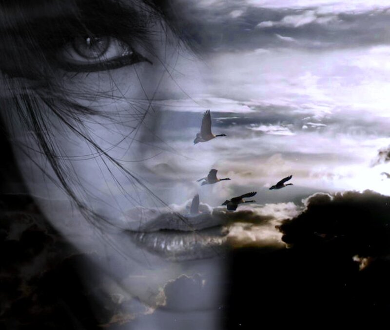 Woman's Face with Birds — Gray