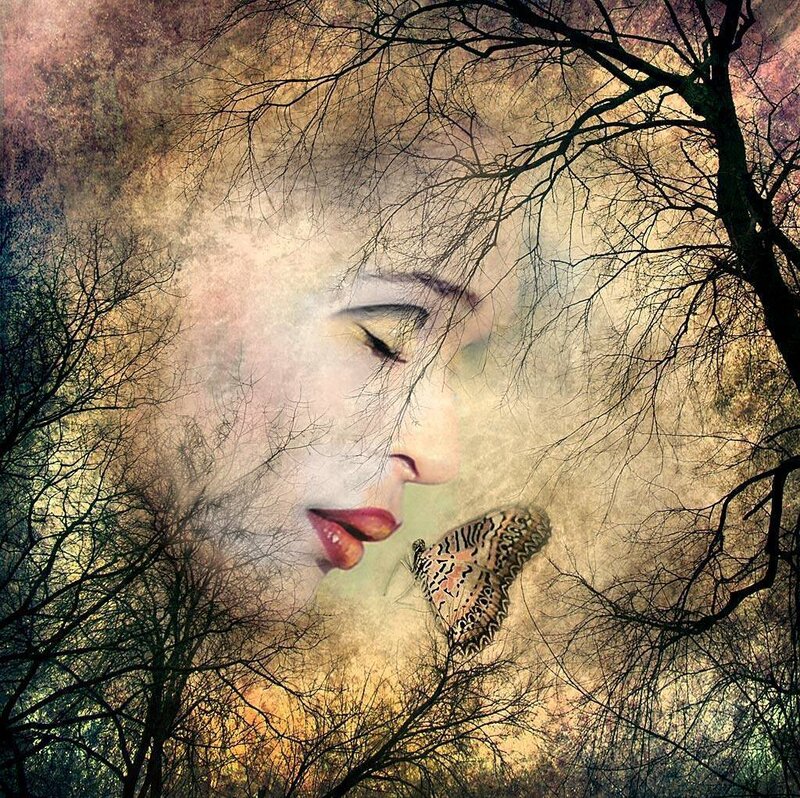 Woman's Face with Butterfly — Brown, Dreamy