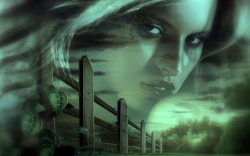 Woman's Face with Fence
