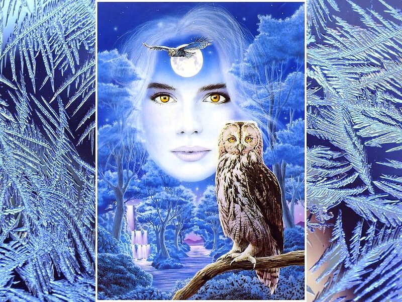 Woman's Face with Owl — Blue