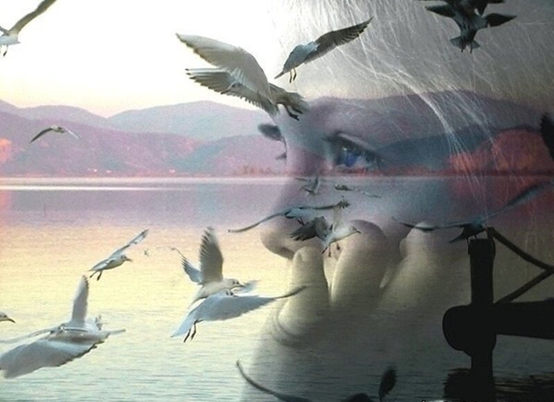 Woman's Face with Seagulls