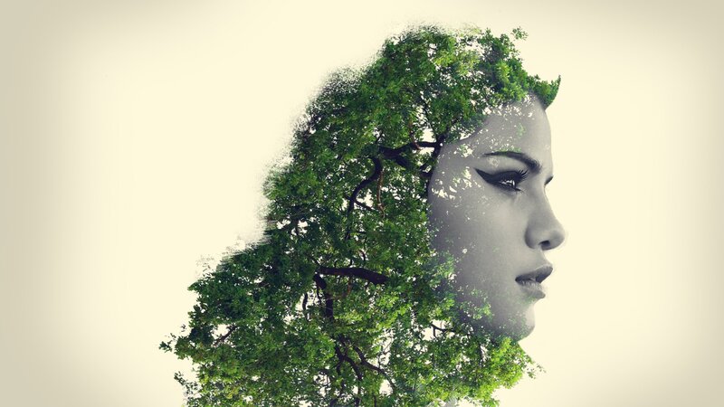 Woman's Face with Tree