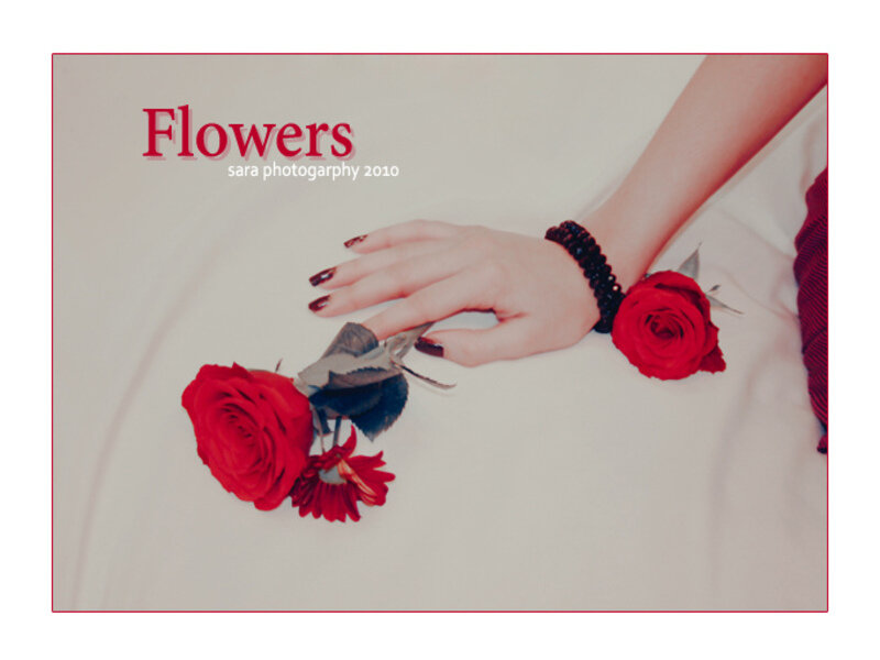 Woman's Hand with Roses