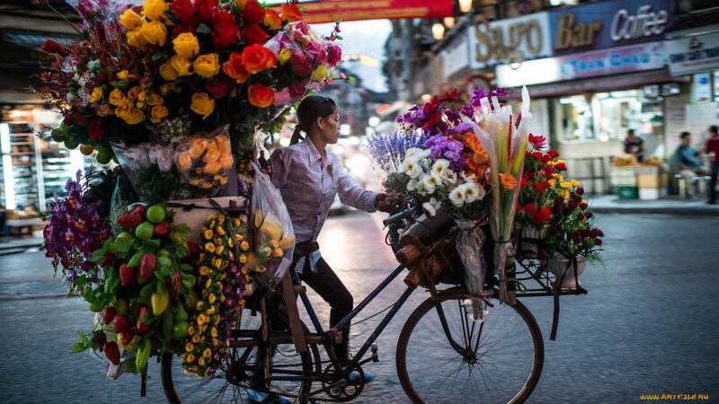 Woman Selling Flowers on Bicycle