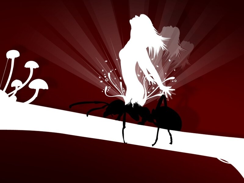 woman silhouette on ant