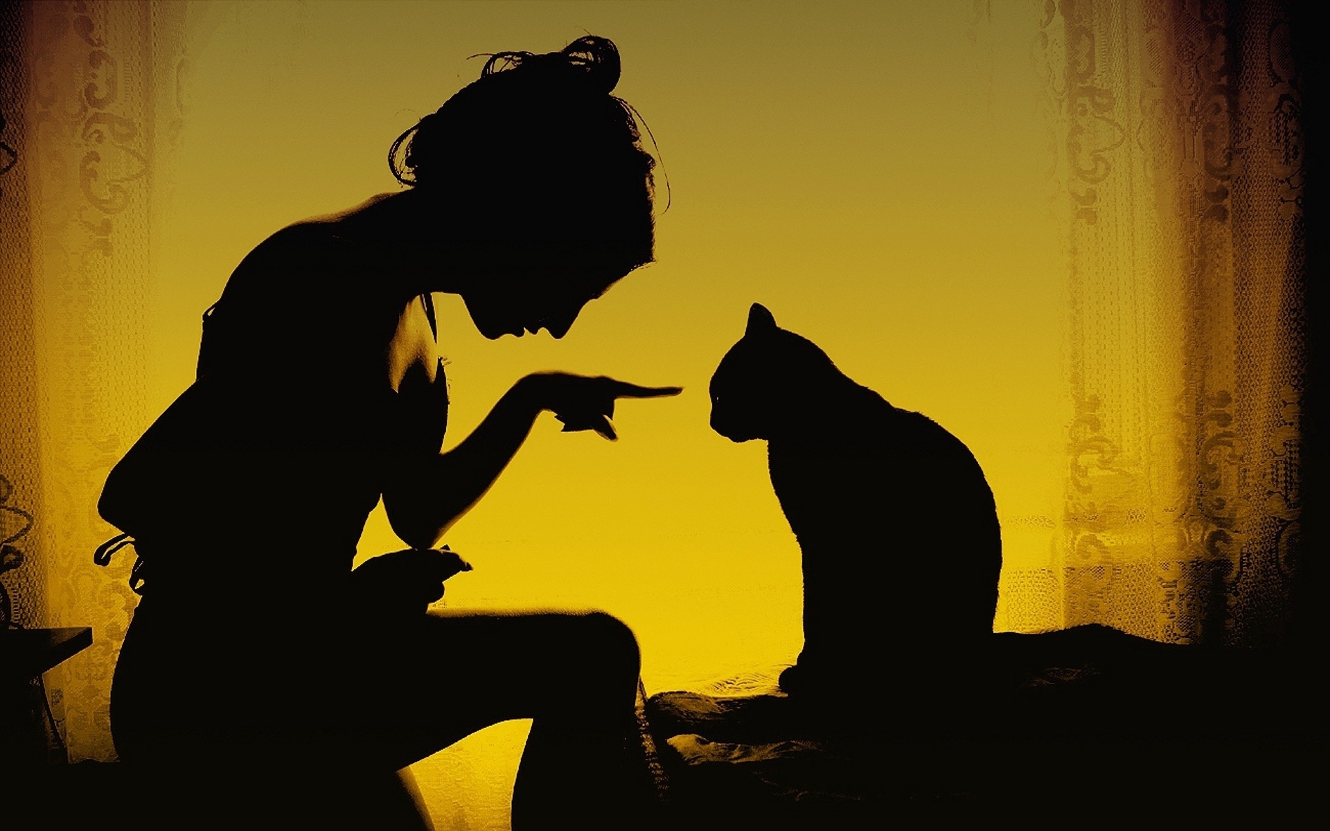 woman silhouetted with cat