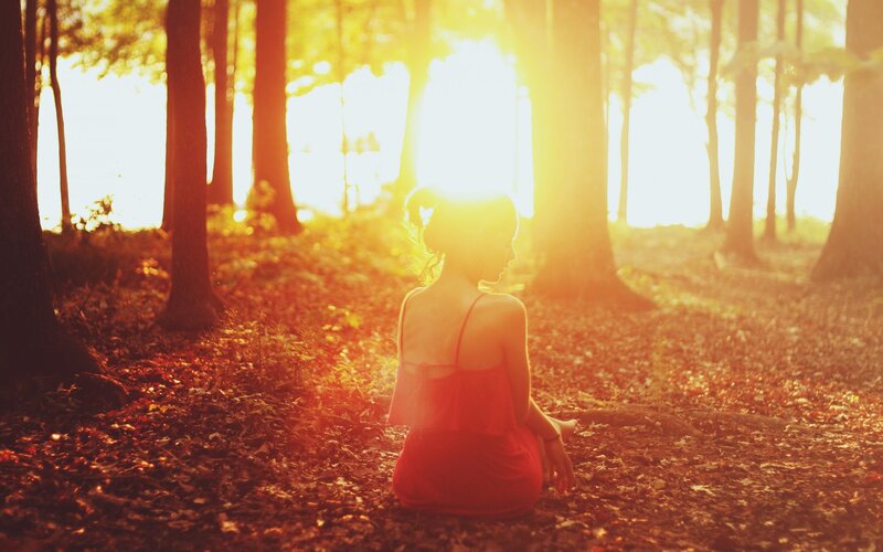 woman sitting in forest at sunset