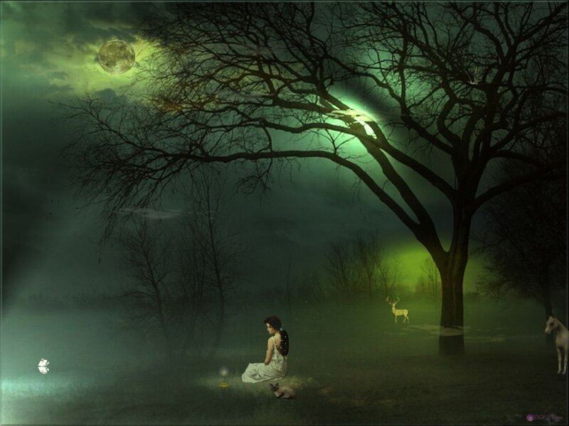 Woman Sitting in Forest — Green