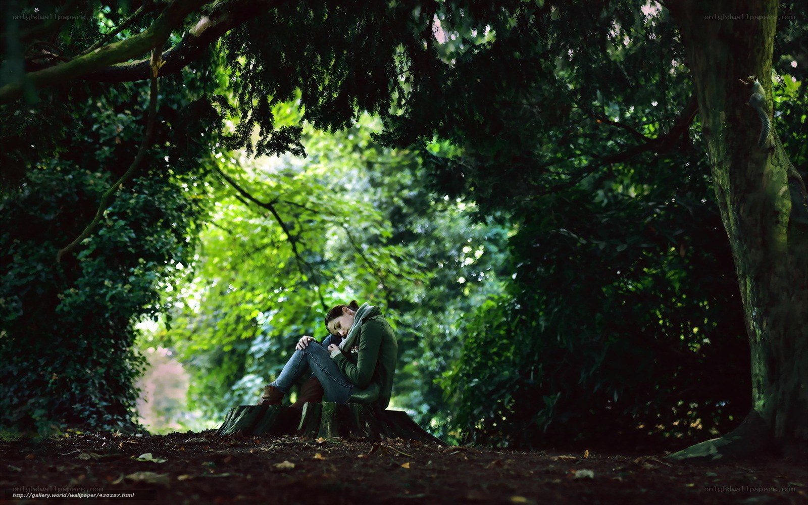 Woman sitting in forest