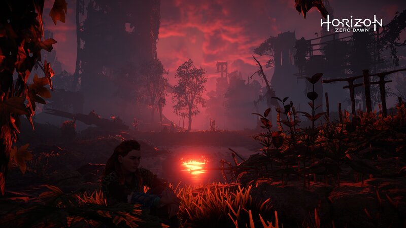 Woman Sitting in Grass — Red, Dramatic