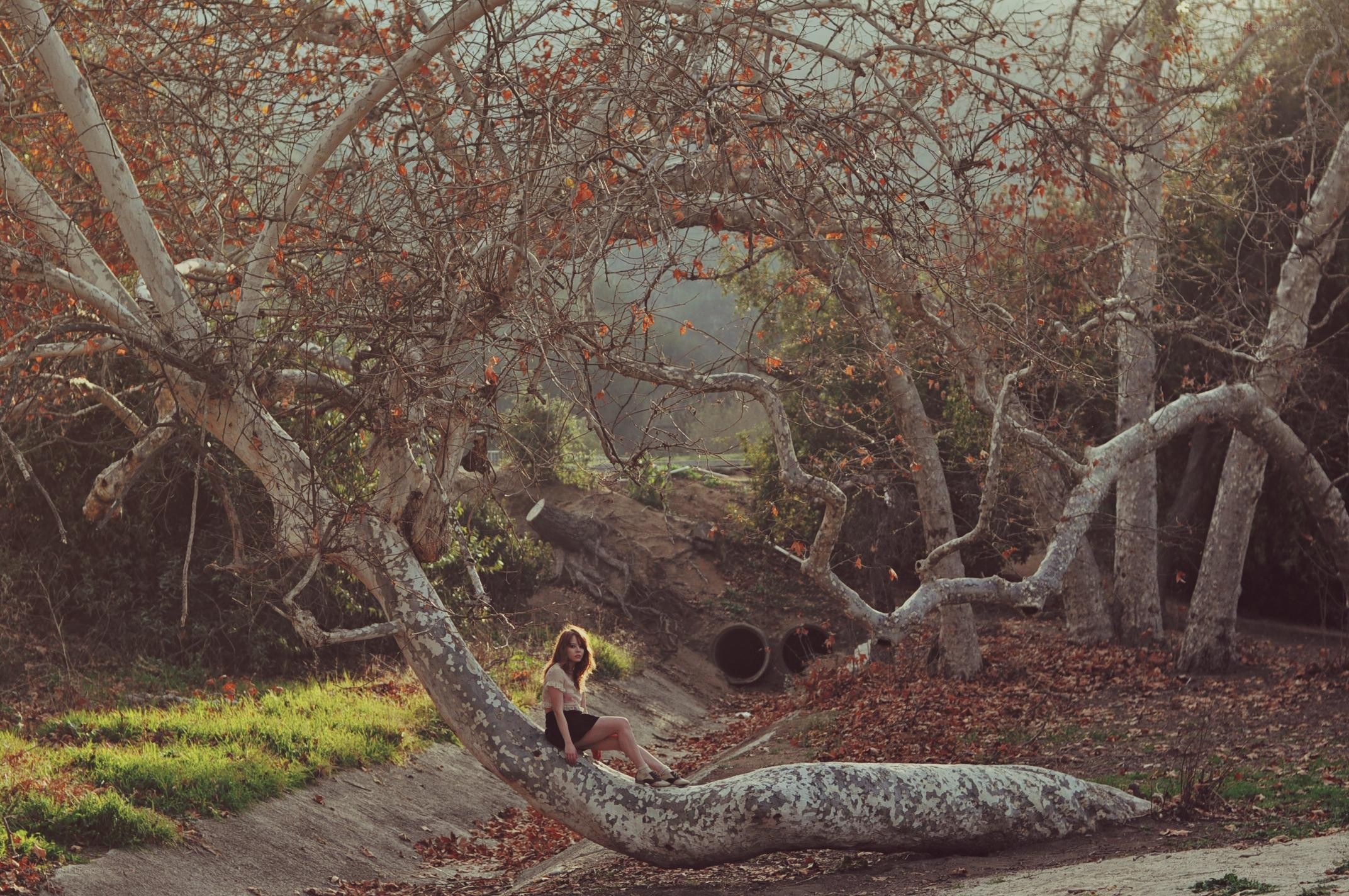 Woman sitting on fallen tree