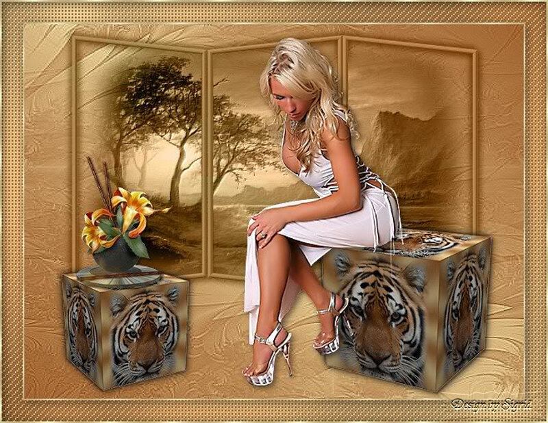 woman sitting on tiger box