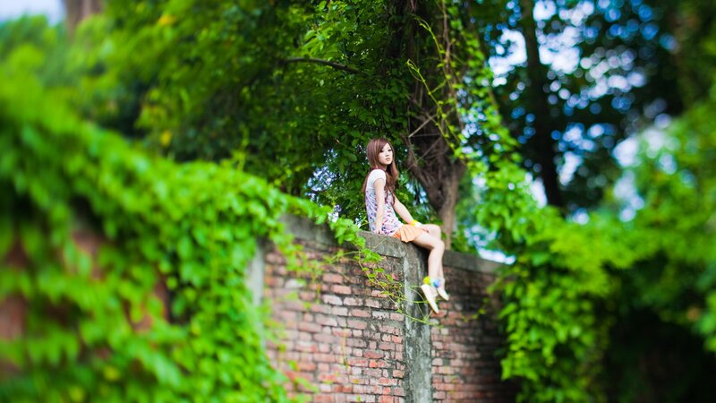 Woman Sitting on Wall — Green, Serene, Afternoon, Photograph, Trees