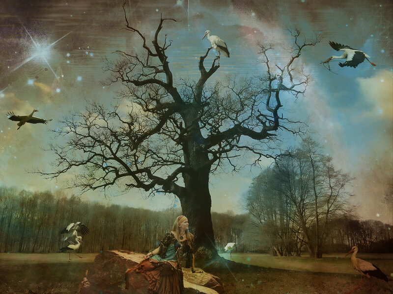 Woman Sitting under Tree — Brown