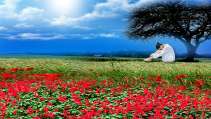 Woman Sitting under Tree — Red
