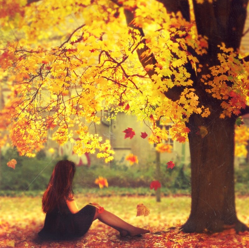 Woman Sitting under Tree — Yellow