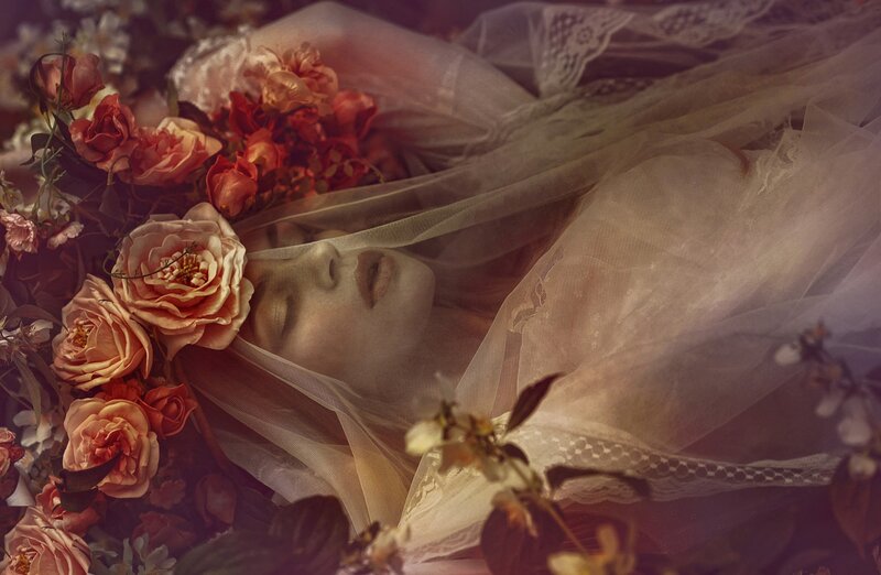 Woman Sleeping Among Flowers — Pink