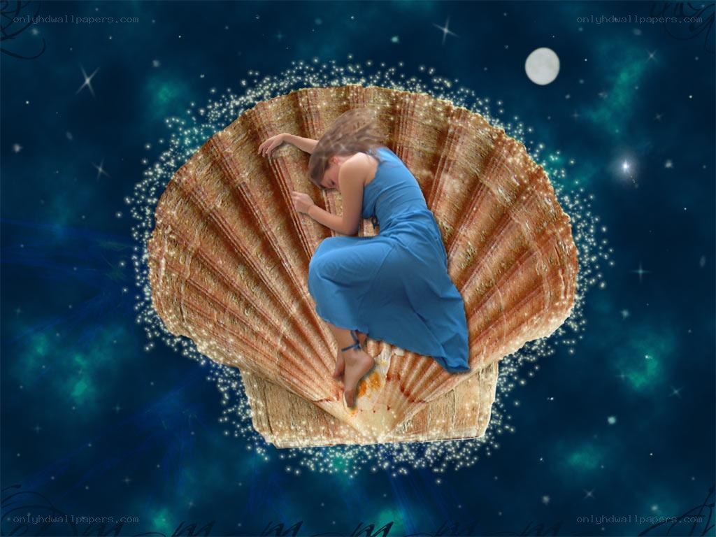 woman sleeping in seashell