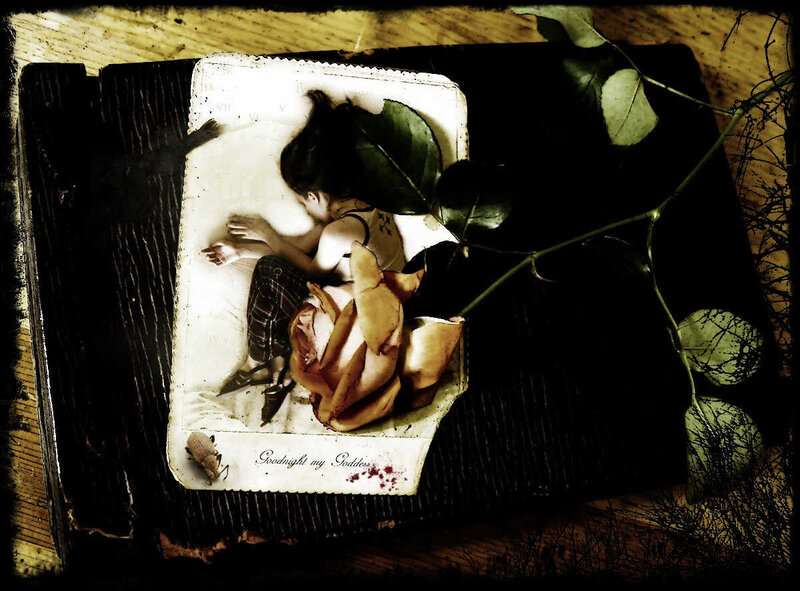 woman sleeping on a book