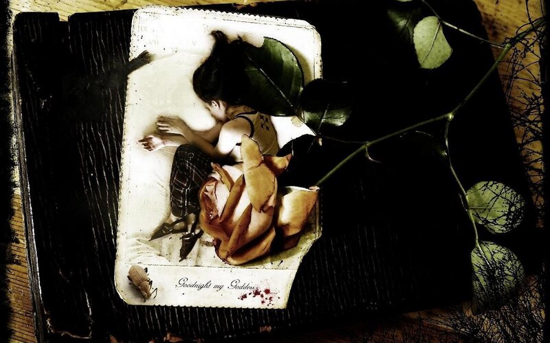 Woman Sleeping on Book