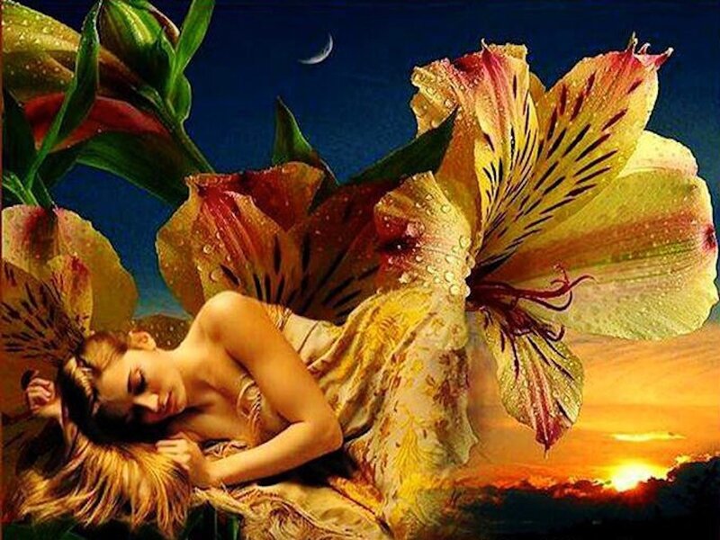 Woman Sleeping on Flower