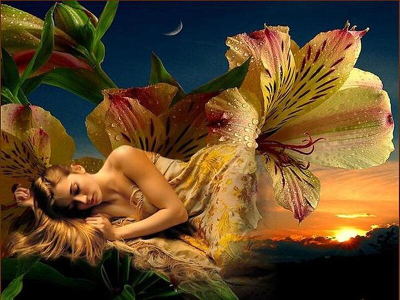 Woman Sleeping on Flower — Yellow